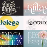 Elegant Fonts for Beauty Logos