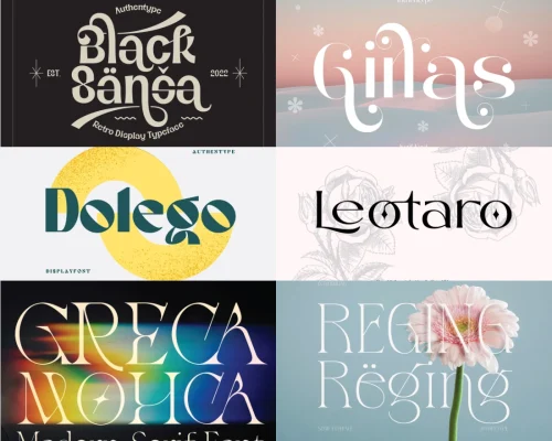Bundles Elegant Fonts for Beauty Logos