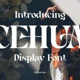 Cehua elegant serif font is a beautiful high contrast font.