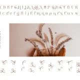 Melgis simple and beauty font