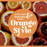 Logista - Beauty Display Font