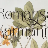 Melgis simple and beauty font