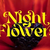 Cehua elegant serif font is a beautiful high contrast font.