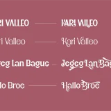 Black Sansa Pro - Retro display font