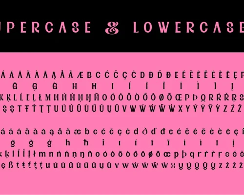 Black Sansa – Retro Display Font