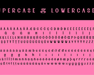 Black Sansa – Retro Display Font