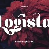 Logista - Beauty Display Font
