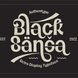 Black Sansa is a bold retro display font
