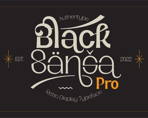 Black Sansa Pro – Retro Display Font
