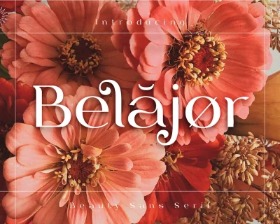 Sale 24 Belajor Beautiful Sans Serif Font