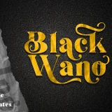 Black Wano - Retro Soft Serif