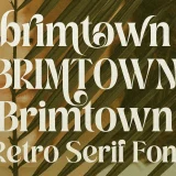 Brimtown - Retro Serif Font is a Serif font with a full set of uppercase and lowercase letters, multilingual symbols, numbers, punctuation, and ligatures.