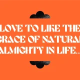 Dolego is a bold retro display font