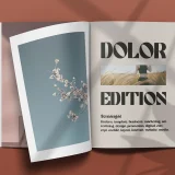 Dolego is a bold retro display font