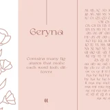 The Geryana Modern Serif Font