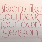 Koshy is a luxury sans serif font