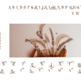 Download Melgis Tp, a premium beauty serif font by AuthenType. Perfect for logos, magazines, and branding.