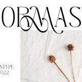 Download Melgis Tp, a premium beauty serif font by AuthenType. Perfect for logos, magazines, and branding.