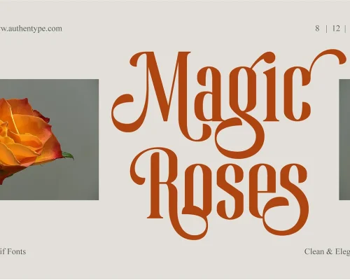 Magic Roses – Serif Clean Elegant Typeface