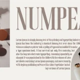 Magic Roses – A Serif Clean Elegant font with unique ligatures and swashes, perfect for luxury branding, editorials, invitations, and packaging