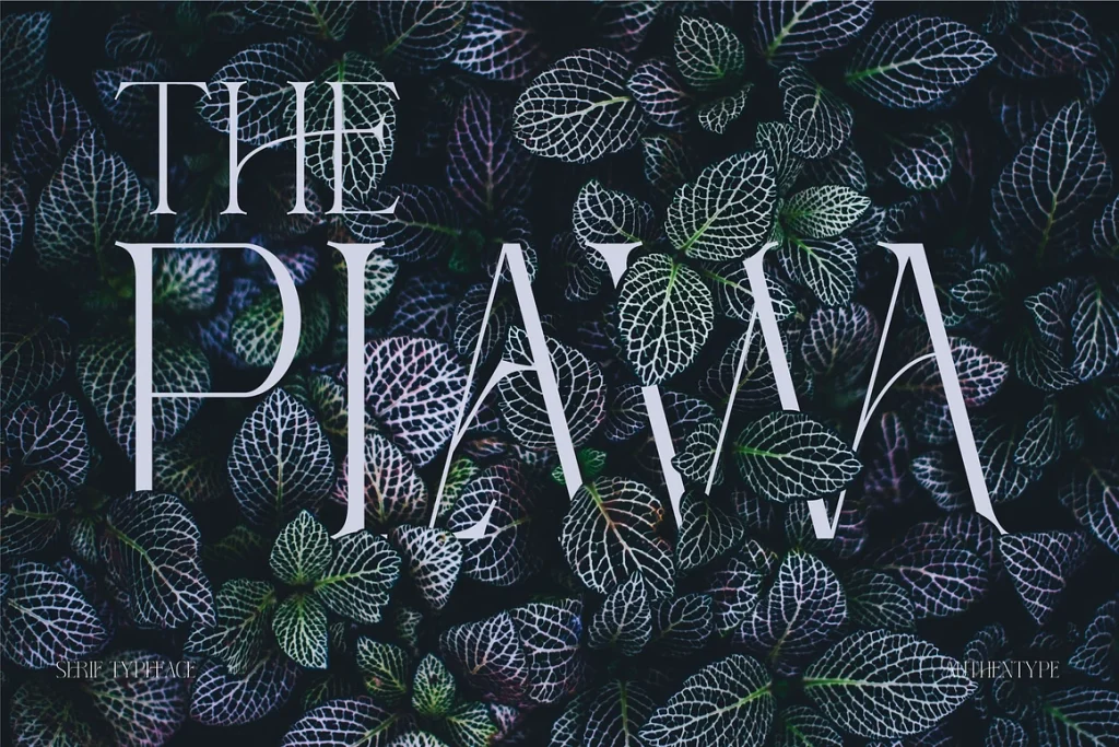 Reging – Elegant Serif Font for Beauty Branding