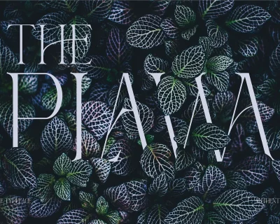 Reging – Elegant Serif Font for Beauty Branding