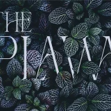 Reging Elegant Serif Font for Beauty Branding is an elegant serif typeface designed with clean strokes and refined details