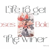 Roses Bolero Elegant Sans Serif