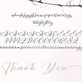 Sarony is a modern handwritten font