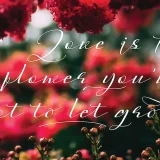 Ayulia Molga Handwritten Font