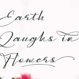 Ayulia Molga Handwritten Font