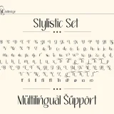 Syake is an beauty branding font