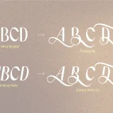 Wahog is a clean and modern sans serif font designed for versatility