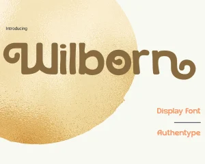 Wilborn – Display Font