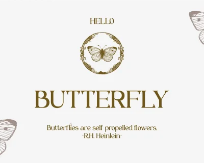 Braisle – Beauty and Elegant Serif