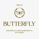 Braisle – A Beauty and Elegant Serif