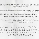 Braisle – A Beauty and Elegant Serif