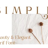 Braisle – A Beauty and Elegant Serif