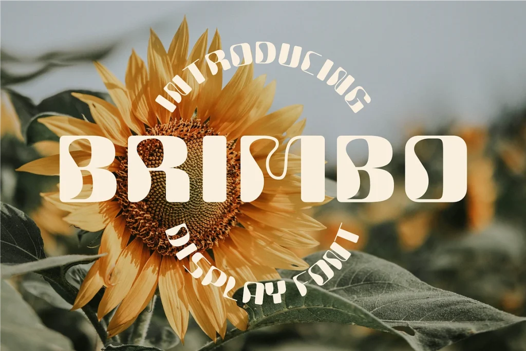 Brimbo – Modern Display Font
