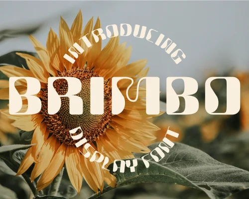 Brimbo – Modern Display Font