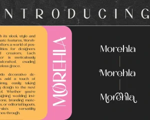 Morehla Simple Modern Sans Serif