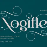 Nogifle Beauty Serif Font a stunning serif font featuring an abundance of ligatures and rich alternatives.