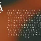 Quarte is a unique font inspired by the captivating allure of Javanese script