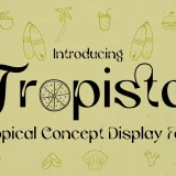 tropical font, display font, summer font, organic font, stylish font, branding font, tropical typography