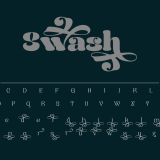 Naylira Modern Beauty Serif Font