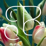 Naylira Modern Beauty Serif Font