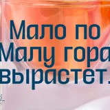 Aronsiki - Versatile Elegance