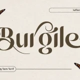 Burgile Happy Sans Serif Font