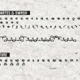 Cirodela Bold and Elegant Font, a font that seamlessly combines boldness with elegance to elevate your design projects.