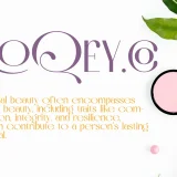 Qonoha A Simple Elegant Font